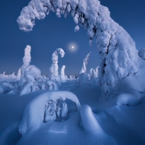 Moon Sabbat
