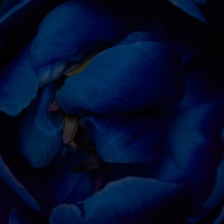 blueness
