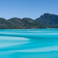Paradise Found