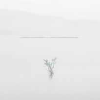 Weightlessness