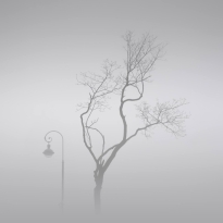 Two
