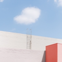  Line, Form, Color 