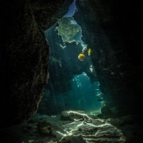 Into the Unknown