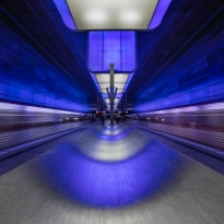 Blue trains
