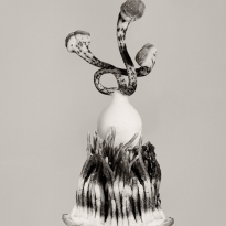 Biodesign
