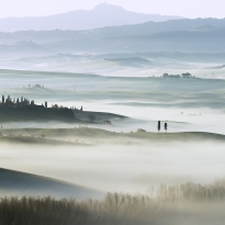 Foggy dawn