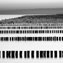 Baltic Sea Shore