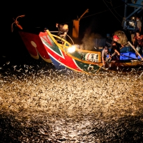 Ancient fishing