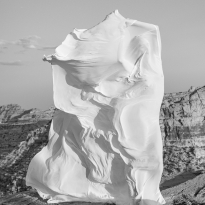 Blowing in the Wind