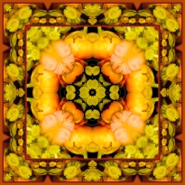 Sacred Geometry