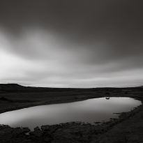 Lone Horse