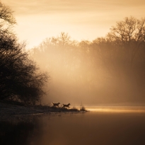 Awakening of Nature