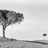 ETRURIA I