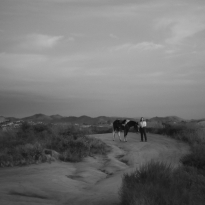 (untitled)