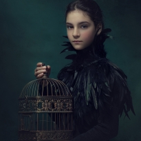 Bird cage