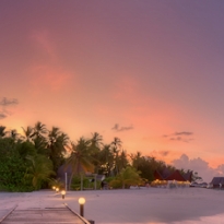tropical loveland