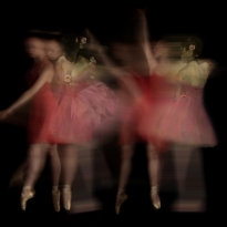 Petit Women