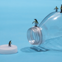Ocean Pollution