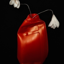 Flowers & Plastic