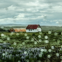 ICELANDIC RAIN