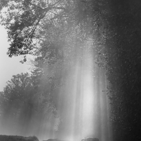 Lightshower