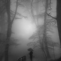 (untitled)