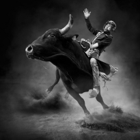 Rodeo Series