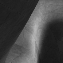 Manifesto of light