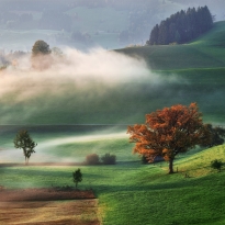 Caressed by mist