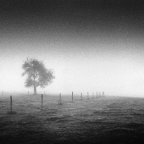 At Dawn