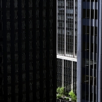 Urban Jungle