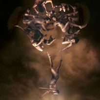 The Tree of life
