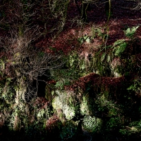 Upstream