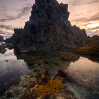 Dusk Reflection