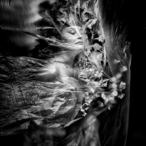 As the wind blows