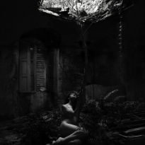The form of light