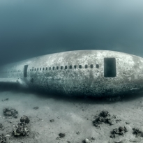Tristar Wreck