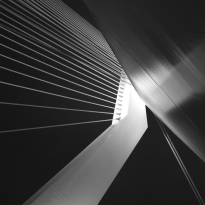 Erasmus Bridge 