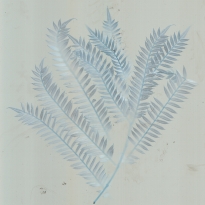 Imprint