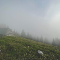 Dancing with Fog