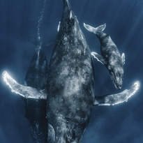 The great mother