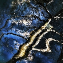 L'arbre dans l'eau