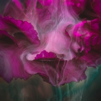 Flower Power