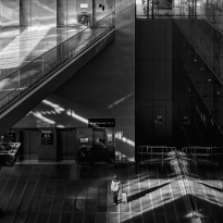 The Art of Shadow