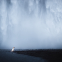 Solitude