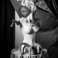 Theater of life