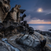 The Ancient Mariner