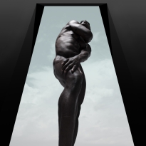 Monolithic