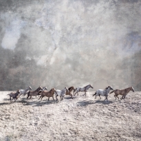 Mountain Mirage