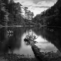 Lake